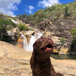 biggie at waterfall close to cairns