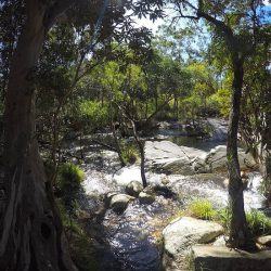 dog friendly Waterfall Emerald Creek Falls