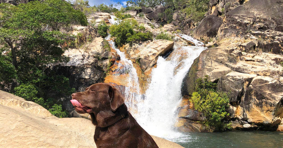 Biggie at bottom of Emerald Creek Falls