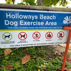 Holloways beach sign