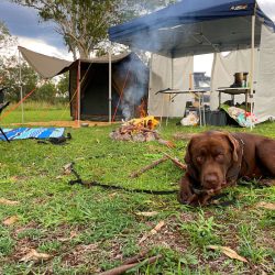 Biggie chilling by the fire with a stick at Woodleigh Station