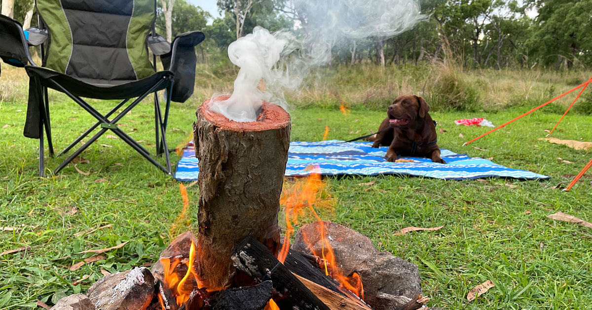 Woodleigh Station Dog Friendly camping